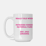 Petrified Forest National Park Mug