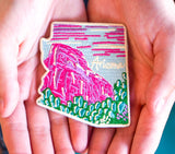 Scenic Arizona Desert Patch