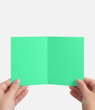 Silly Goose Greeting Card