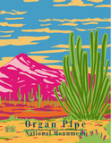 Organ Pipe Cactus Whimsical Art Print + Canvas