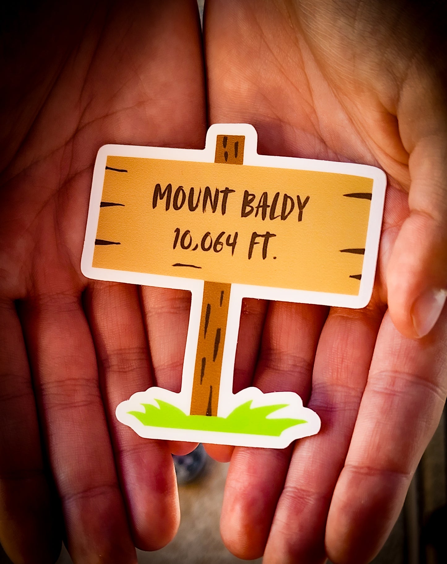 Mount Badly California: Mountain Top Sign Sticker