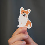 Corgy Sticker