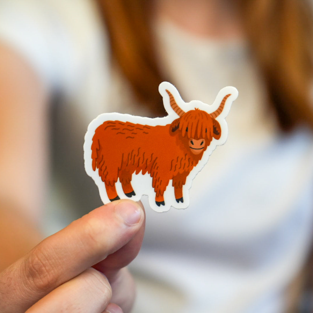 A vinyl die cut sticker of a Highland cattle held between fingers, featuring a hand-drawn illustration in vibrant colors.