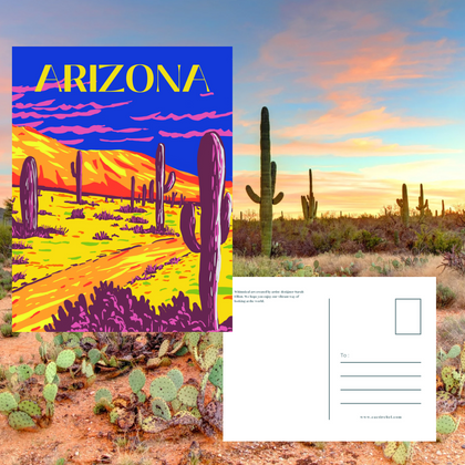 Arizona Path in the Desert Postcard